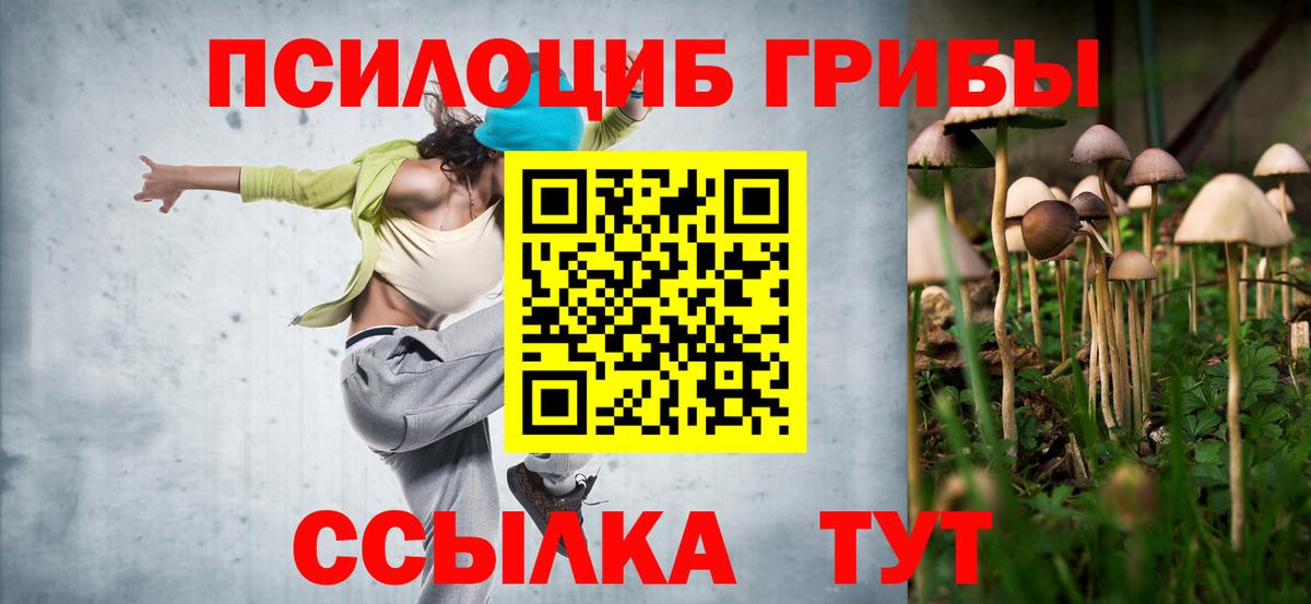 Сарапул  Псилоцибиновые грибы прущие грибы  Вход с VPN  хочу   Галлюциногенные грибы Psilocybe 
